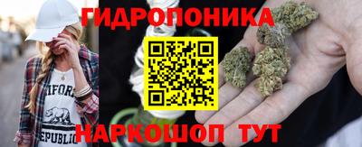 стаф Краснознаменск