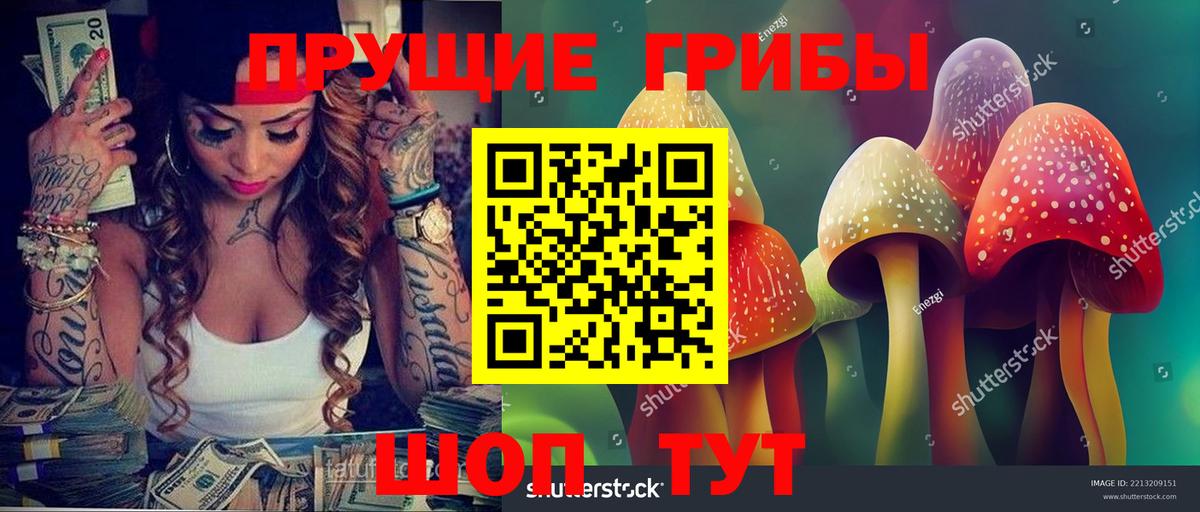 Галлюциногенные грибы MAGIC MUSHROOMS Гусев