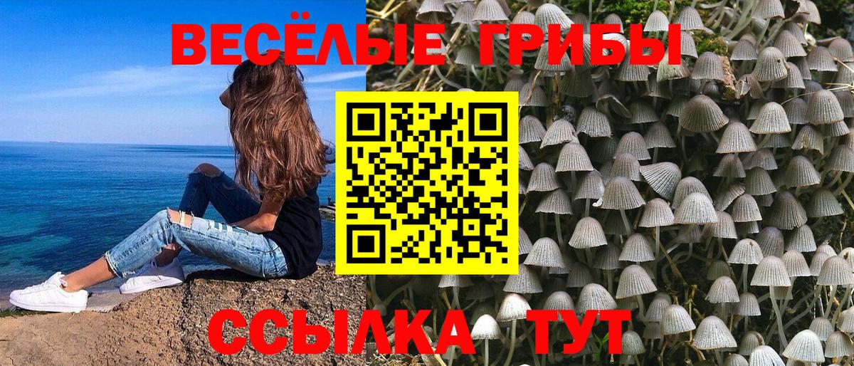 Гусев  Псилоцибиновые грибы Psilocybe  Вход с VPN 